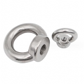 304/316 Stainless Steel DIN580 Eye Nut